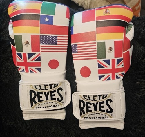 Cleto reyes sparring boxing - cleto,