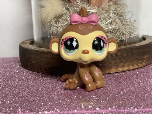Petshop singe capucin - 🌸petshop,