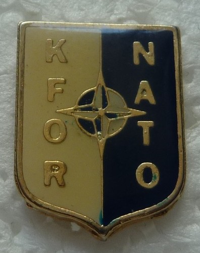 Pin militaire la - pin's,