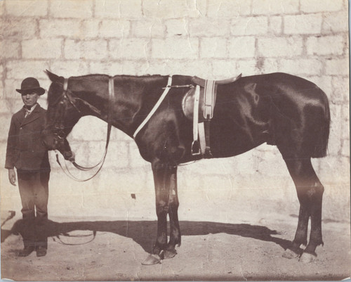 Cheval selle ca 1870 - et, ca.1870