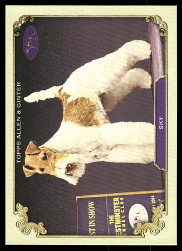 2024 topps allen - topps, &