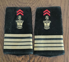 Insigne Grade Commandant du Génie Paire Fourreaux     /)85