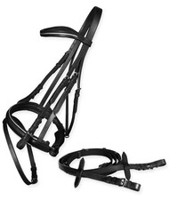 Bridon à lacets argentés