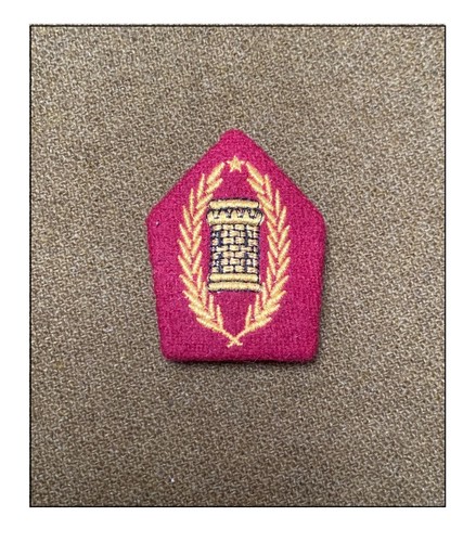 Insigne police afrique - insigne,