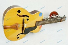 Custom Mohan Veena Grand