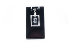Bichon Frise,Gelockter