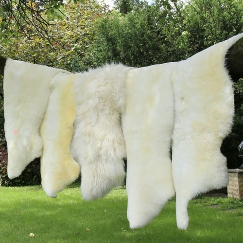 Peau mouton blanc - peau, 2