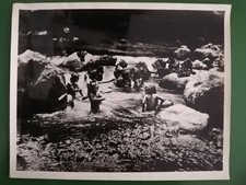 L'Île Des Démons Black Magic