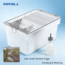 Lab Mouse Cage, Laboratory Rat