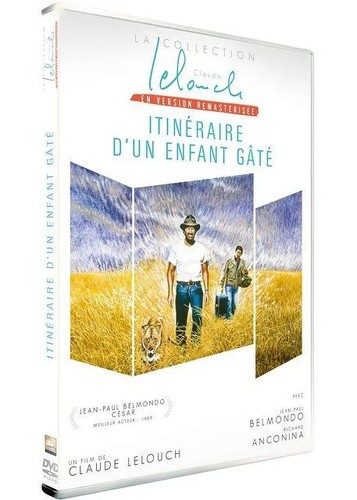 Dvd itinéraire d un enfant - [dvd],
