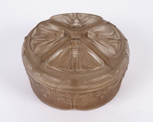 Boite quatre papillons verre - papillons,