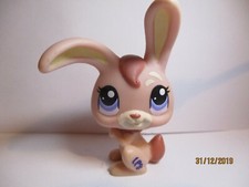 PETSHOP LAPIN DE GARENNE