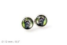 Cane Corso. Animaux Domestiques En Votre Ohr. Ohrringe. Foto-Schmuck