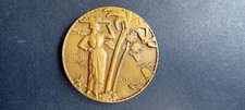Superbe médaille du Paquebot