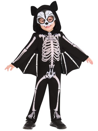 Squelette chauve souris - squelette, chauve-souris