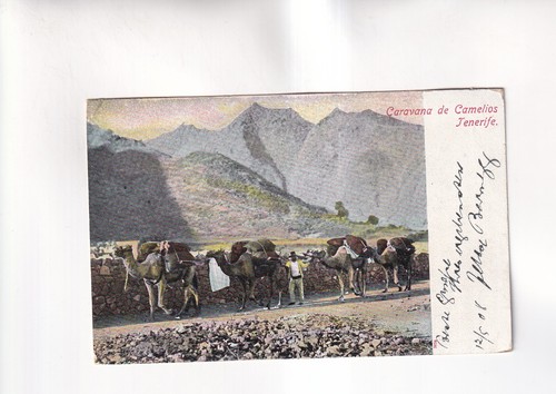 F6617 carte postale tenerife - carte,