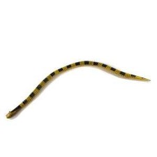 Serpent articulé 70 cm noir