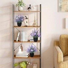 Fausse Plantes Plantes