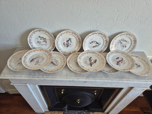 Lot assiettes porcelaine de - lot,