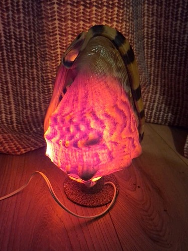 Grande lampe nuit vintage - de,