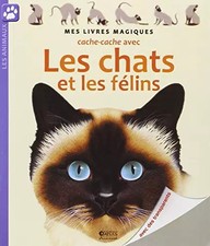 Cache-cache avec les chats et les félins|Mes livres magiques, Henri Galeron, Pie