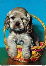 Carte postale animaux - -,