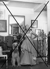 PHOTO DE SUZY SOLIDOR