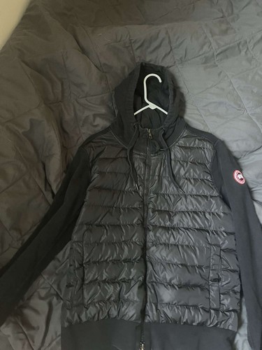 Canada goose - canada,