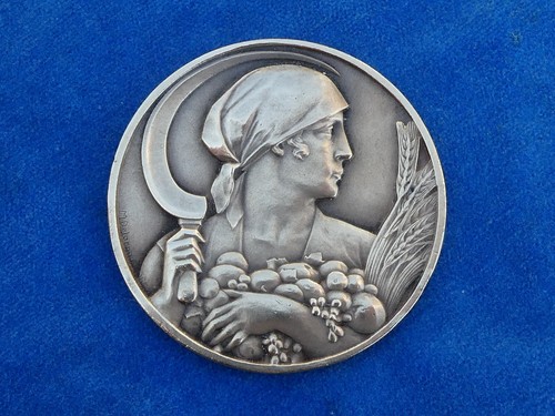 Superbe medaille medal m - superbe, tb