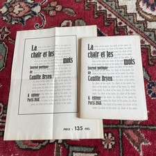 CAMILLE BRYEN LA CHAIR ET LES