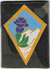 INSIGNE TISSU, PATCH MILITAIRE