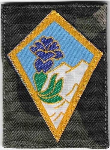 Insigne tissu patch militaire - insigne, tissu,