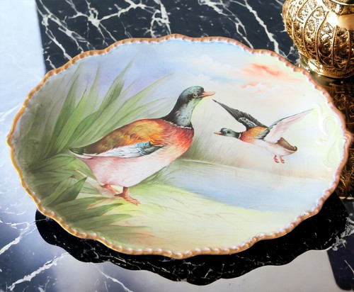 Limoges guérin thabard plat - limoges.,