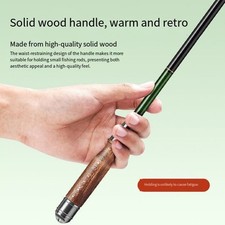 Mini canne à pêche canne à