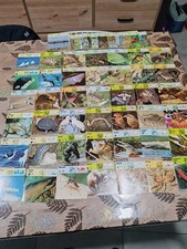 Lot De 100  Carte collection 1975 fiche animal  Editions rencontre A Saisir  