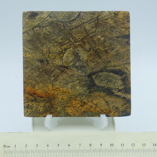 Landscape picture jasper - picture,
