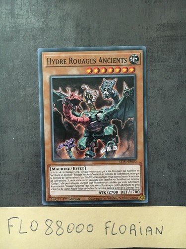 Hydre rouages - ,