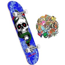 Skateboard Professionnel