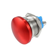 22 mm Momentané Poussoir