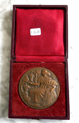 Medaille bronze son - en,
