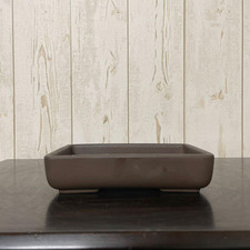 Pot à bonsaï japonais