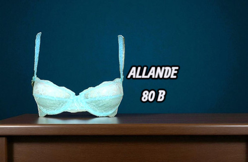 Allande b neuf - allande, 80