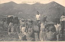 CPA 20 CORSE AJACCIO EN VENDANGE 