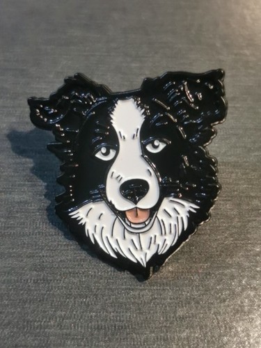 Border collie dog chien - chien, pin