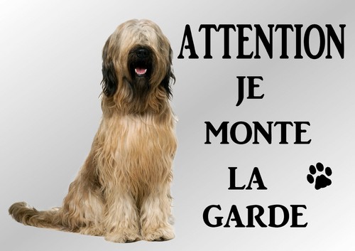 Plaque attention chien briard - chien,