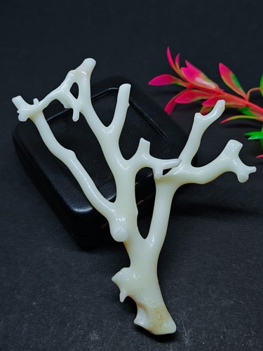 Branche brute corail - branche, de