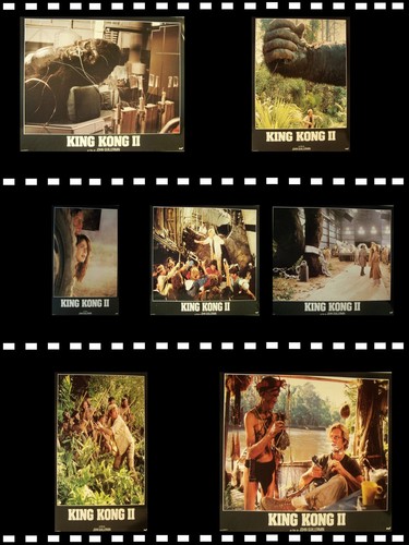 King kong lot de - 2, photos