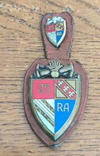 Insigne + Miniature 25° RA