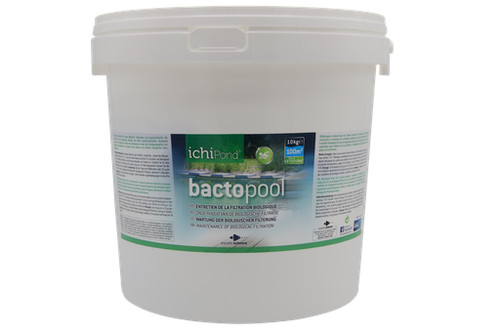 Bactéries bactopool kg - bactéries,