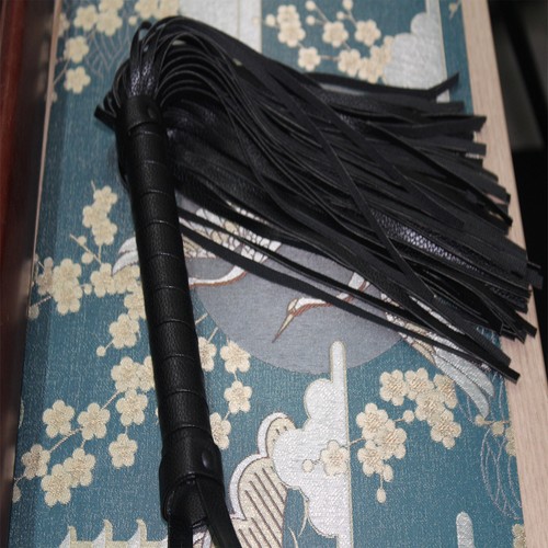Cuir paddle fouet flogger - cuir,